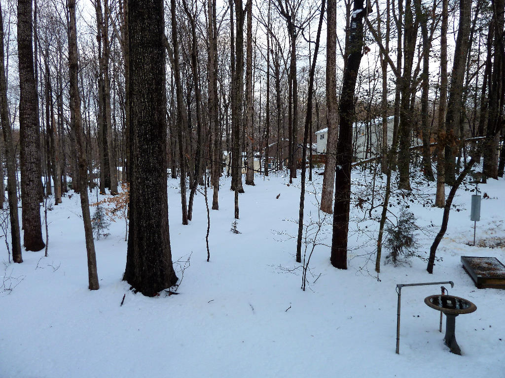 Snow Storm 2104